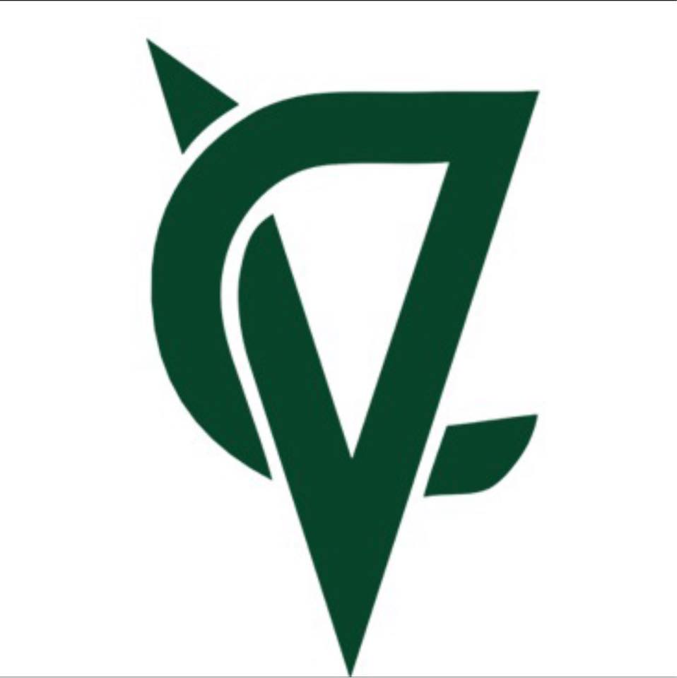 Vidra Company For Real Estate