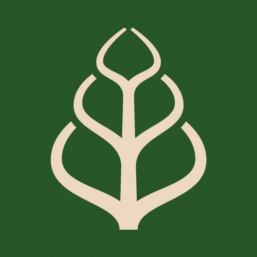 فندق ومنتجع ريشة